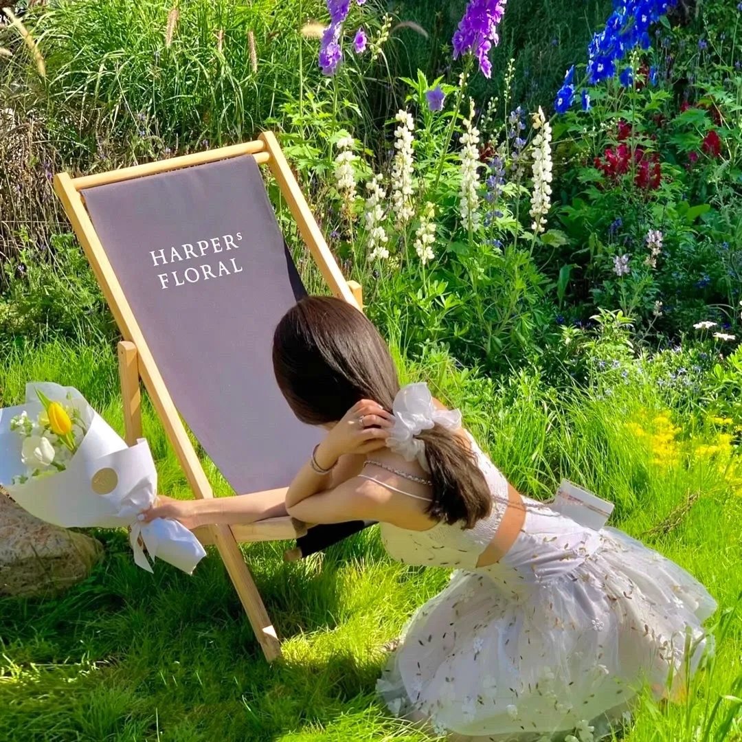 嘘暴君是我掌上犬